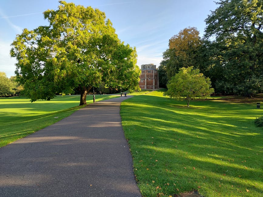 A paved pathway winding through a green park with well-maintained grass and a variety of mature trees, some with full leafy canopies and others with smaller, lighter foliage. In the background, there is a multi-story brick building partially obscured by the trees. The scene is illuminated by natural daylight, casting shadows on the pathway and grass, with a clear blue sky overhead. This outdoor environment exemplifies a peaceful setting suitable for a walk or outdoor activities, and reflects a typical urban park landscape that can be associated with residential areas undergoing home relocation or community moves involving furniture transport and moving logistics.