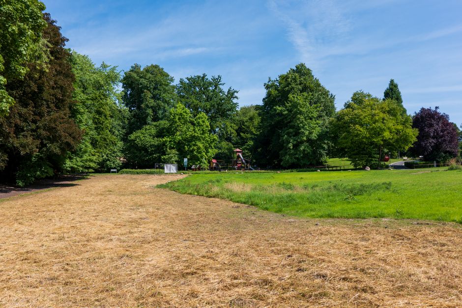 A wide outdoor scene showing a landscaped park with a mix of mature deciduous trees, some with dark purple and green foliage, and a well-maintained grassy area. The foreground features a path with a strip of flattened, light brown grass adjacent to patches of bright green grass. In the middle ground, there are several large cardboard packing boxes, some wrapped in plastic, positioned near a doorway or entrance to a house, indicating an ongoing home relocation process. A sturdy black trolley or hand truck is visible near the boxes, suggesting the use of moving equipment. In the background, there is a playground with red and wooden equipment partially obscured by trees, and the scene is illuminated by natural daylight under a clear blue sky. The setting reflects a typical outdoor environment where a professional removals service like Man with Van Westcombe Park may be engaged for house and furniture transport, involving packing, loading, and transporting household items.
